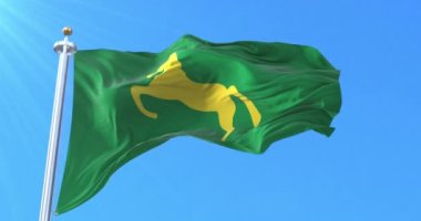 Sharqiyya Valiliği bayrağı, Mısır. Döngü