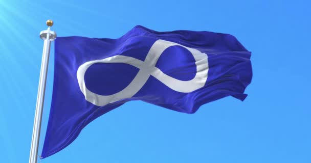 Metis Vlag Zwaait Lijn — Stockvideo