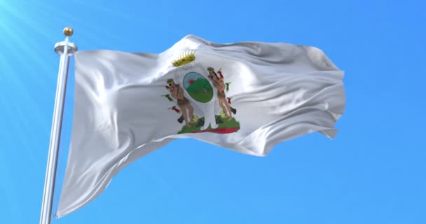 Flaga Monterrey Meksyk Pętla — Wideo stockowe