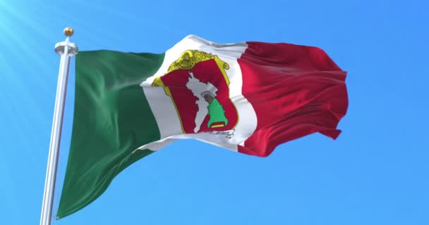 Σημαία Τολούκα Μεξικό Βρόχος — Αρχείο Βίντεο