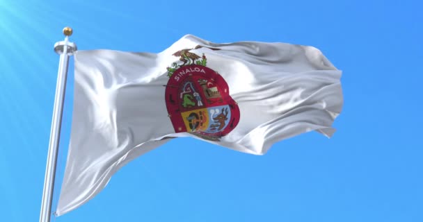 Флаг Синалоа Мексика Петля — стоковое видео