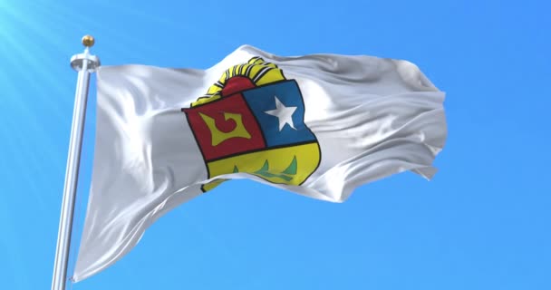 Vlag Van Quintana Roo Mexico Lijn — Stockvideo