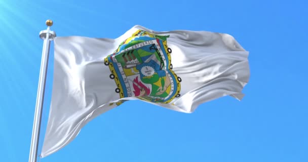 Puebla Flag Mexiko Ögla — Stockvideo