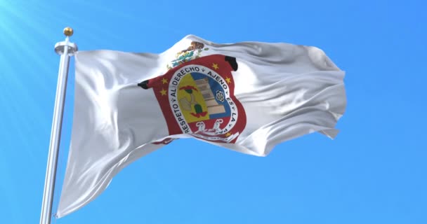 Flaga Oaxaca Meksyk Pętla — Wideo stockowe