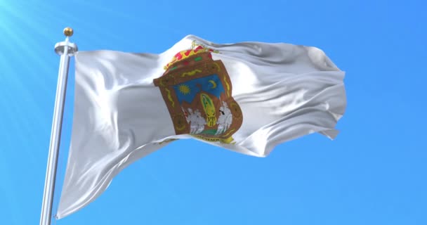 Flag Zacatecas Mexico Loop — Stock Video