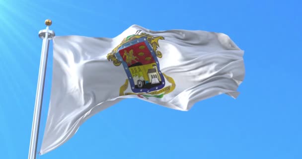 Флаг Мичоакан Мексика Петля — стоковое видео