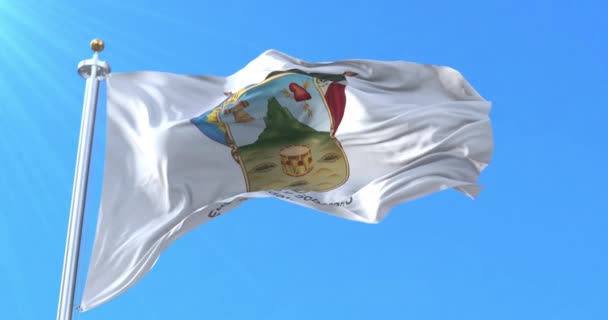 Bandera Hidalgo México Bucle — Vídeo de stock