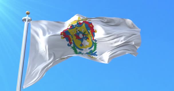 Guanajuato Flag Mexiko Ögla — Stockvideo