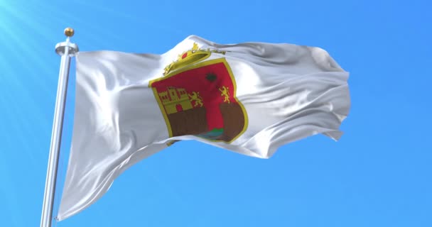 Флаг Чьяпас Мексика Петля — стоковое видео