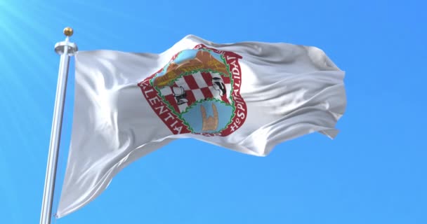 墨西哥奇瓦瓦州的国旗 — 图库视频影像