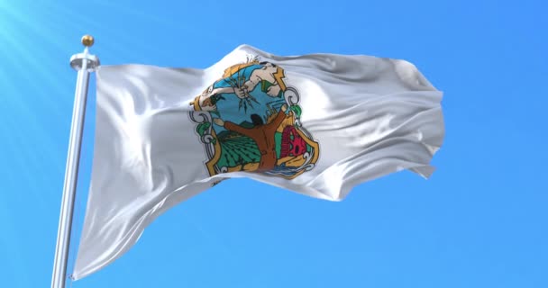 Baja California Flag México Bucle — Vídeos de Stock