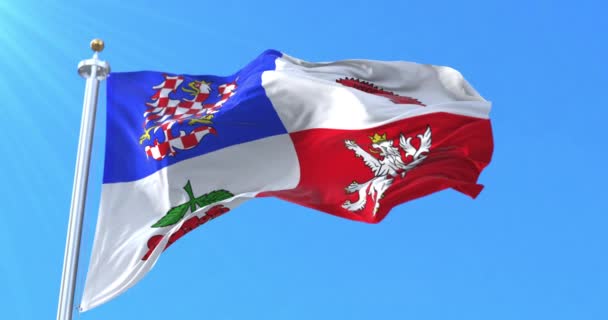 Vysocina Region Flag Czech Republic Loop — Stock Video