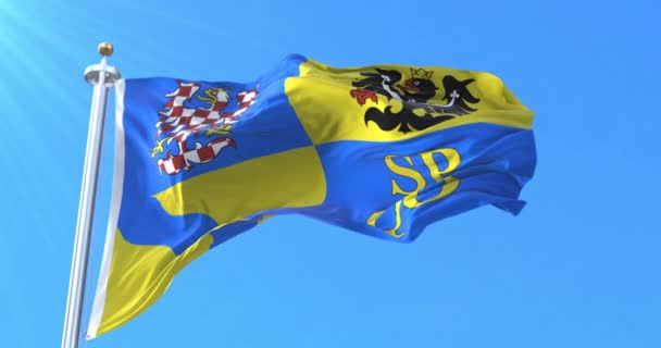 Σημαία Της Περιφέρειας Olomouc Τσεχική Δημοκρατία Βρόχος — Αρχείο Βίντεο