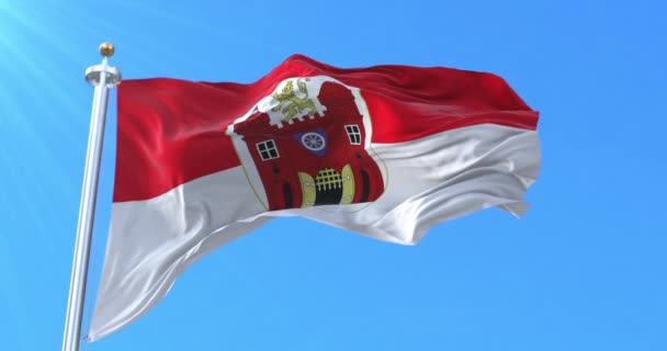 Bandeira Liberec República Checa Laço — Vídeo de Stock