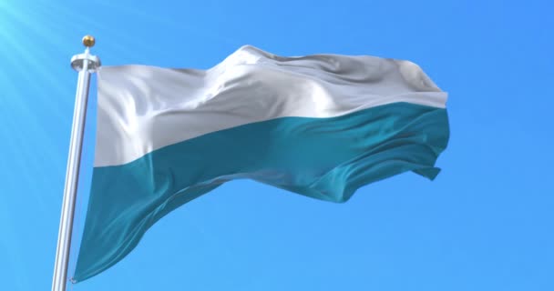 波兰托伦市旗帜 — 图库视频影像