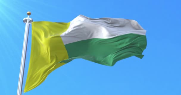 Flag Zielona Gora City Poland Петля — стокове відео