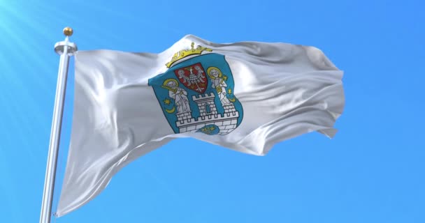 Poznan Capital City Flag Polen Lijn — Stockvideo