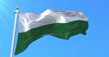 Styria Eyaleti bayrağı, Avusturya. Döngü