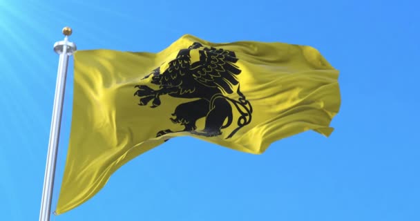 Pommerska Vojvodskapsflaggan Polen Ögla — Stockvideo