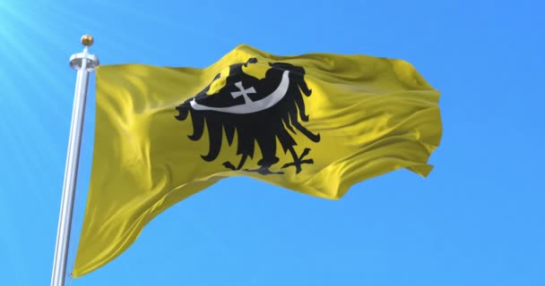 波兰下西里西亚省的省旗 — 图库视频影像