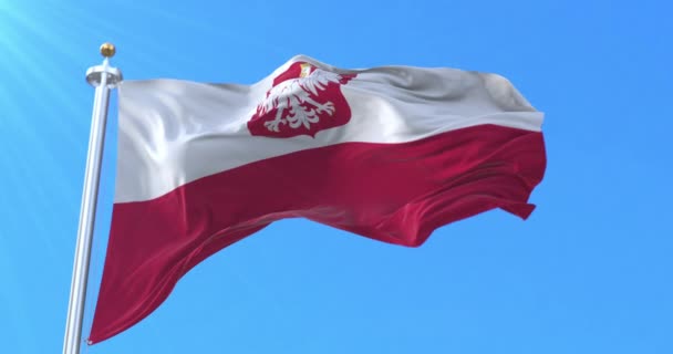 Σημαία Πολωνίας Κυματίζει Στον Άνεμο Βρόχος — Αρχείο Βίντεο