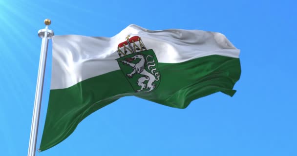 Bandera Estatal Estiria Austria Bucle — Vídeos de Stock
