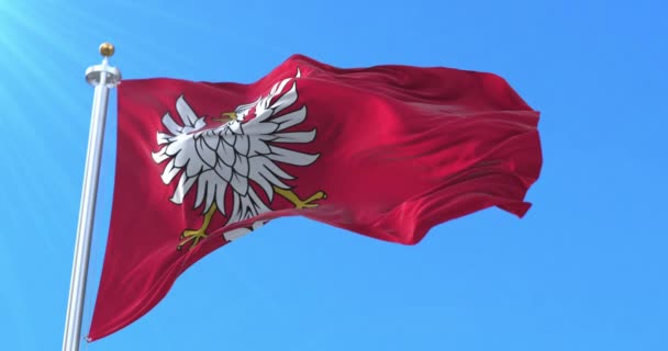 Masovian Voivodeship Flag Poland Loop — Stock Video