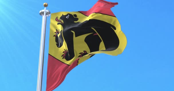 Кантон Бернский Флаг Швейцария Петля — стоковое видео