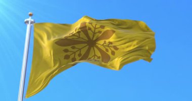 Manchukuo İmparatorunun bayrağı, İmparatorluk Standardı, Mançurya Eyaleti. Döngü