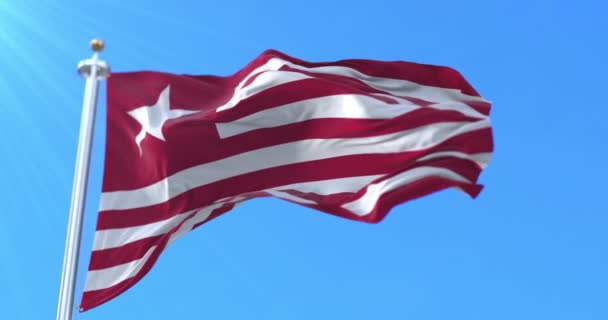 James Long Flag Tweede Republiek Texas Verenigde Staten Lijn — Stockvideo