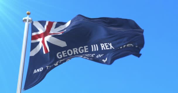 New York Union Flag George Rex Förenta Staterna Ögla — Stockvideo
