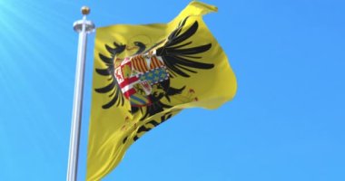 V. Charles Kraliyet Standardı, Kutsal Roma İmparatoru. Döngü