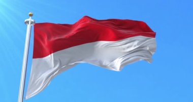 Patani Krallığı bayrağı. Döngü