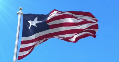 Teksas Donanması Deniz Asteğmeni, Birleşik Devletler. Döngü