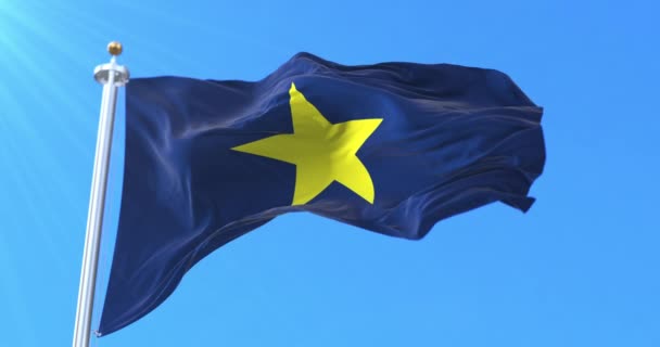 Burnet Bayrağı Teksas Cumhuriyeti Ulusal Bayrağı Birleşik Devletler Döngü — Stok video