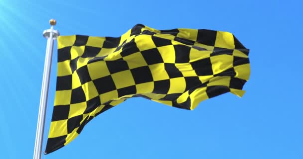 Vlag Van Het Graafschap Urgell Spanje Lijn — Stockvideo