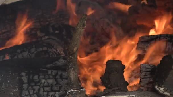 在篝火或篝火中焚烧木材的原木 — 图库视频影像