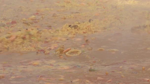 Reis Paella Einer Großen Paella Pfanne Bewegen — Stockvideo