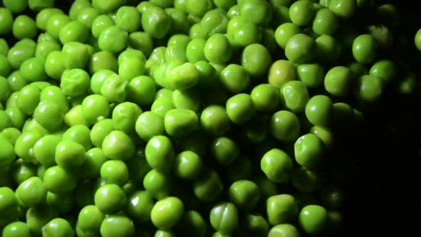 Fresh Green Peas Intimate Light — Stock Video