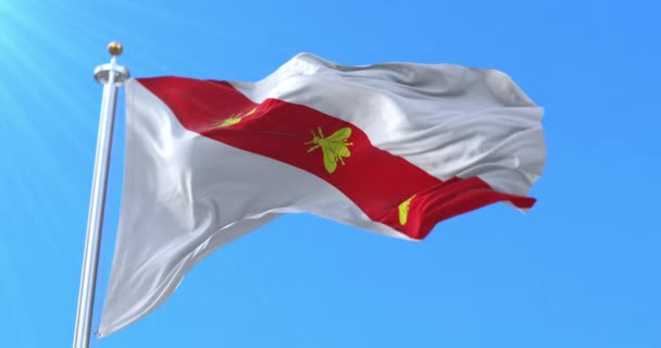 イタリアのエルバ島のナポレオンの旗 ループ — ストック動画