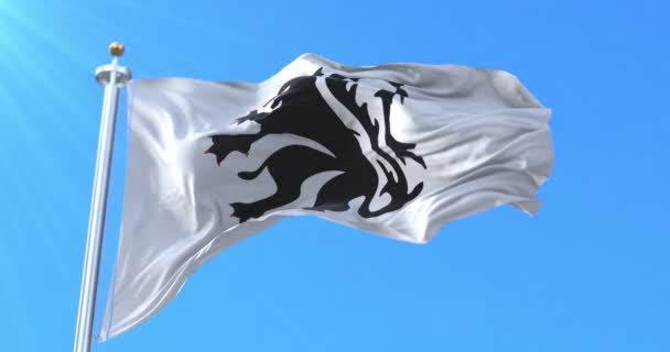 Flagge Des Königreichs Der Kanarischen Inseln Spanien Schleife — Stockvideo