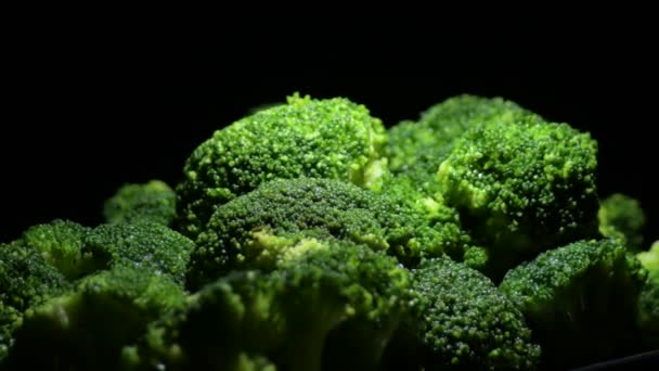 Broccoli Gyrating Black Background — Vídeos de Stock