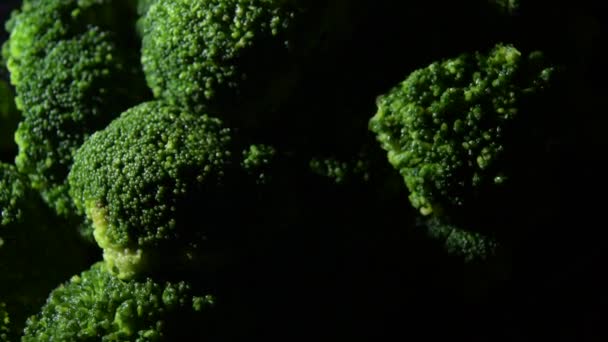 Fresh Broccoli Branches Gyrating Black Background — Vídeos de Stock