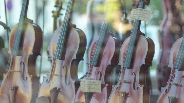 Βιολιά Μουσικά Όργανα Στην Βιτρίνα Ενός Καταστήματος — Αρχείο Βίντεο
