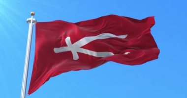 Flag of Beylik of Constantine. Loop