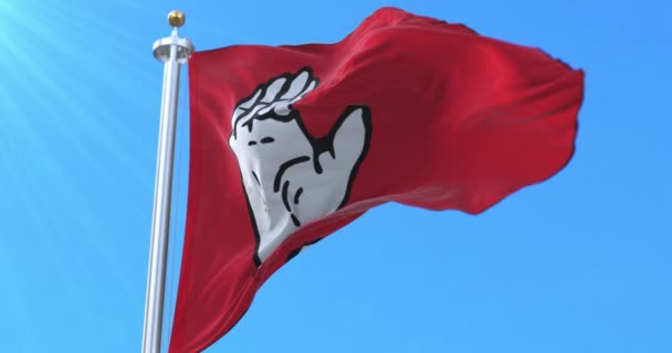 Flagga Som Används Furstendömena Abasgia Abchazien Ögla — Stockvideo