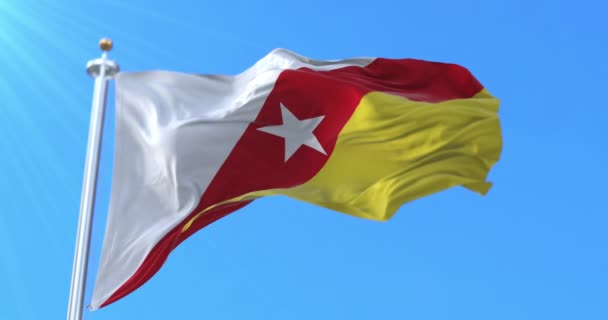 Flagge Der Nationalen Befreiungsfront Angolas Schleife — Stockvideo