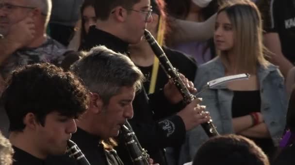 带着竖琴和管乐器的乐队在圣周行军 棕榈星期日 Velez Malaga Andalusia 西班牙 — 图库视频影像
