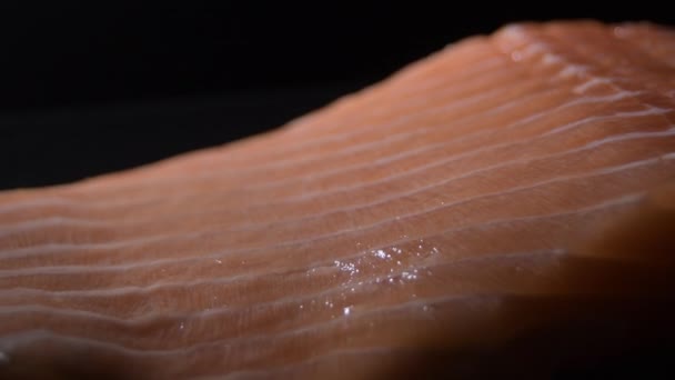 Świeży Surowy Filet Łososia Obracający Się Kameralnym Świetle — Wideo stockowe
