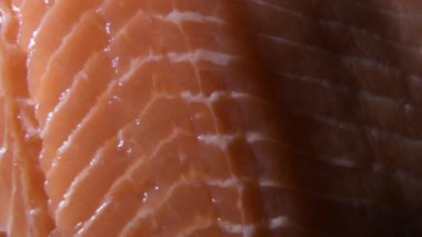 Raw salmon fillet gyrating with intimate light, detail